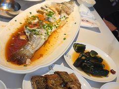 -映像威海·威海宴(威高广场店)