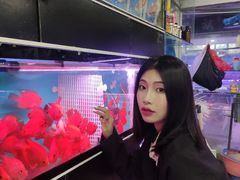 -苏州艺都古玩花鸟市场