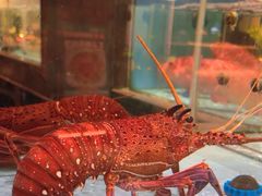 -阿伟海鲜楼·福建菜(延寿店)