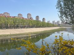 -桃花堤公园