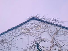 -猫的天空之城概念书店(苏州平江店)