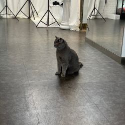 点击看大图 -飛凡TATTOO纹身•原创