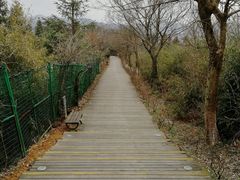 -江南天池