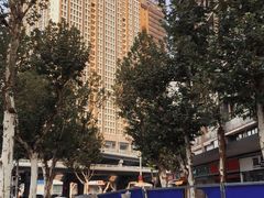 -华中科技大学同济医学院附属同济医院(汉口院区)