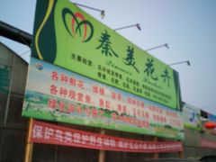 -秦美花卉(天朗·莱茵小城2期店)