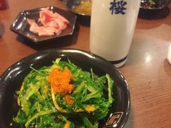 -越海渔村