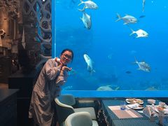 -瑞德姆美人鱼海底演艺主题餐厅(亚龙湾店)