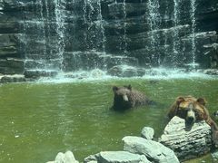 -北京野生动物园