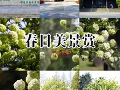 -明故宫遗址公园