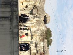 iphone_upload_pic-南昌动物园