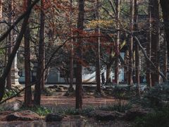 -虎跑公园