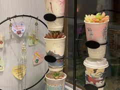 -茶颜观色(晋江店)