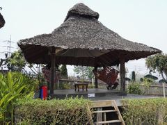-大树秋千