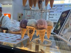 -野人先生现做冰淇淋(北京环宇荟店)