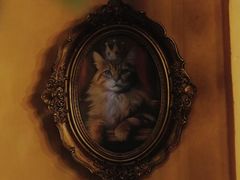 -猫岛主趣味餐厅(鼓浪屿店)