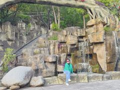 -元江连续刚构世界第一高桥景区