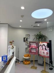 -张小野·专业半永久纹眉