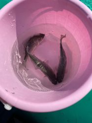 -小蜜蜂农场(凯德七宝购物广场店)