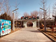 -南宫五洲植物乐园