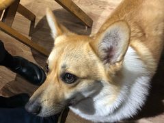 -阿木舂记·特色小吃(平江路店)