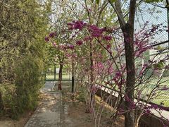 -北京市海淀外国语实验学校