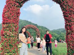 -广州市石门国家森林公园