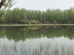-东郊湿地公园