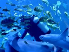 -太平洋海底世界