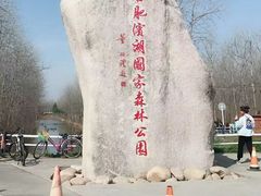 -合肥滨湖国家森林公园