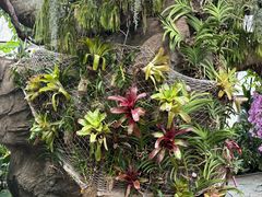 -北京植物园-展览温室