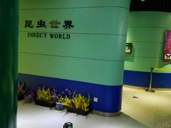 -上海昆虫博物馆