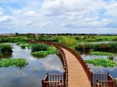 景点-五甲塘生态湿地公园