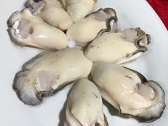 -花苑美食横琴生蚝火锅(拱北粤华路店)