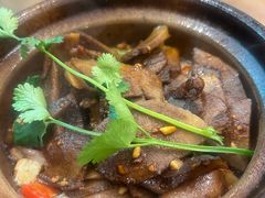 -绿柠食堂(北外滩店)