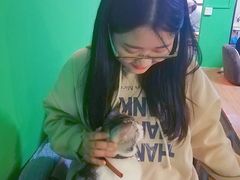 -李小姐の猫咖啡馆(五角场店)