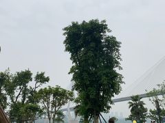 -大渡口区义渡公园