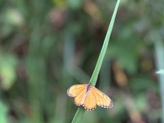 -东天目山风景区