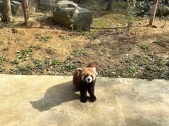 -杭州野生动物世界