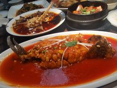 -陈麻婆豆腐(旗舰店)