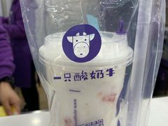 -一只酸奶牛(八一路店)