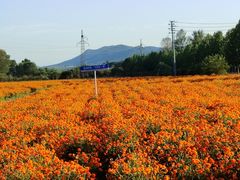 -大连铭湖国际观光牧场