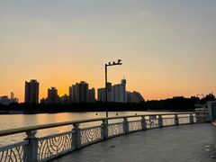 -莲花池公园