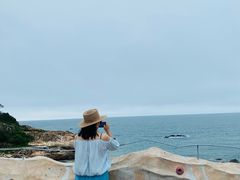 -广东惠东海龟国家级自然保护区
