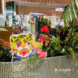 上海美食打卡~飨识里