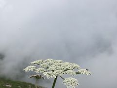 -秦岭风景区