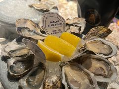 -普朗姆生蚝吧(原建国路店)
