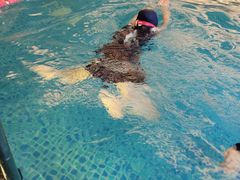 -海豚之星游泳俱乐部(喜来登馆)