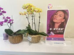 -海涛医疗美容·面部抗衰·注射美鼻