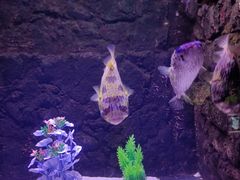 -梦幻海洋王国(吾悦广场张家港店)