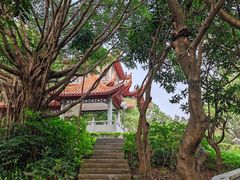 -深圳龙潭公园